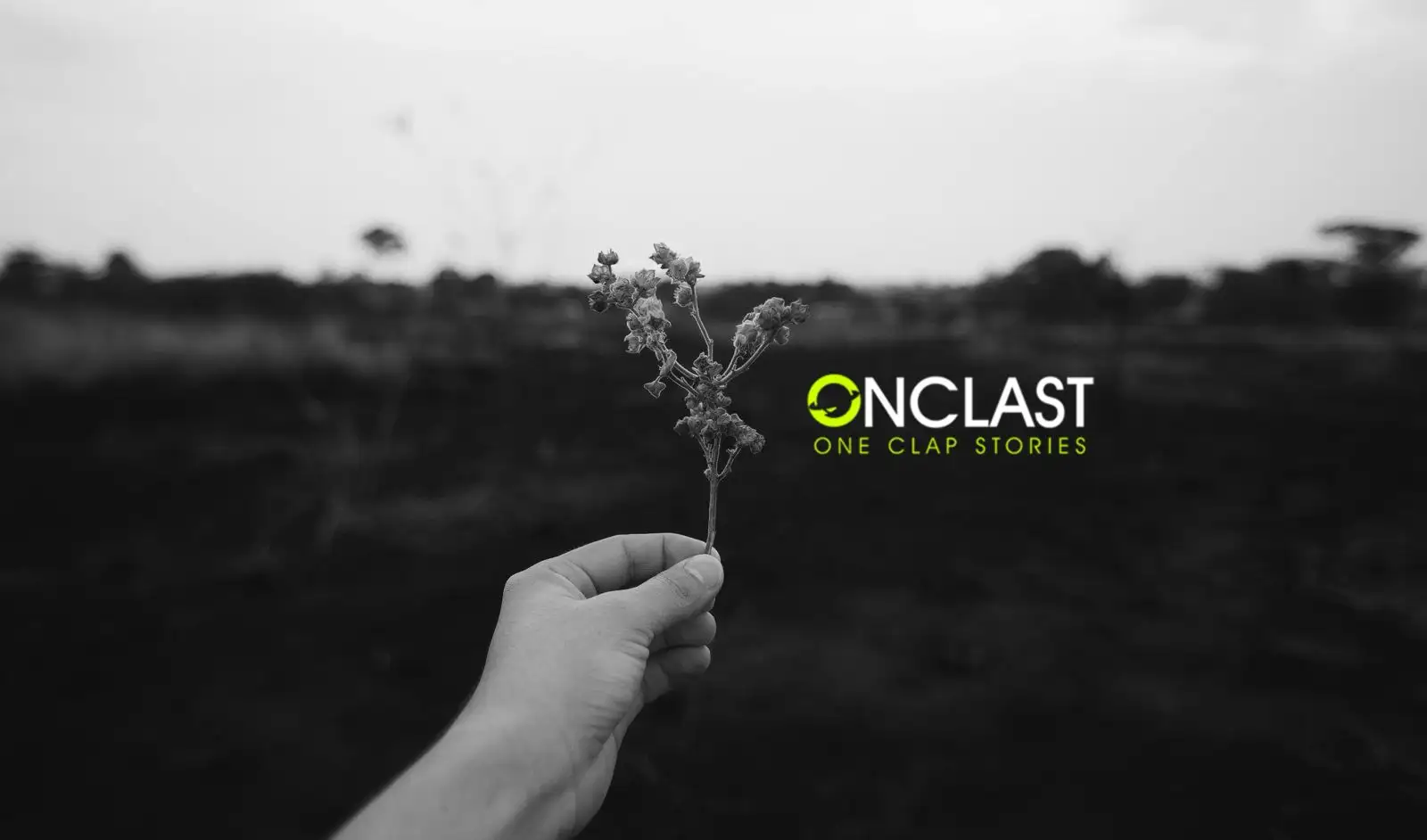 client of smm expert in kochi